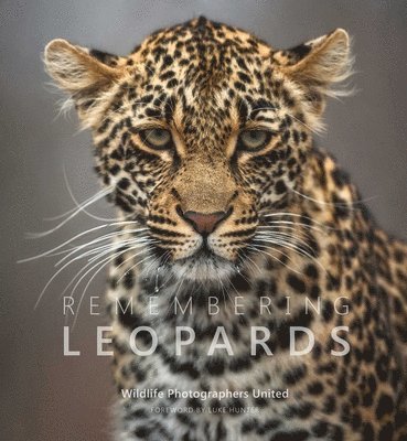 Margot Raggett Mbe - Remembering Leopards, Inbunden. Tillgänglighet: Lägg i varukorg