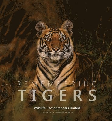 Margot Raggett Mbe - Remembering Tigers, Inbunden. Tillgänglighet: Lägg i varukorg