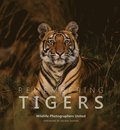 Remembering Tigers