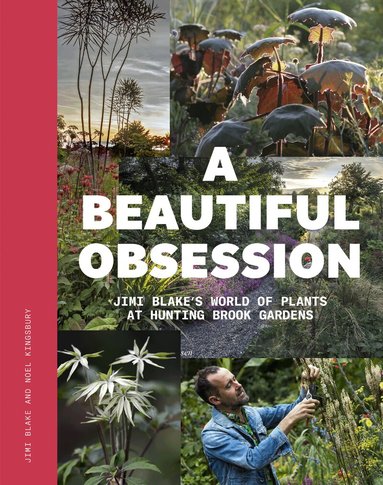 Beautiful Obsession