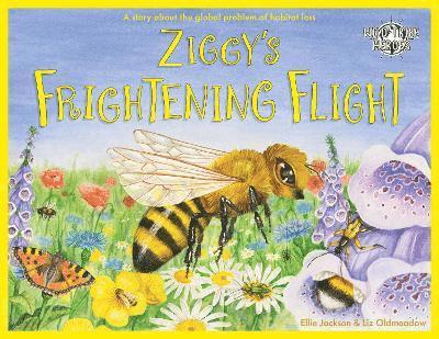 Ellie Jackson - Ziggy's Frightening Flight, Häftad. Tillgänglighet: Lägg i varukorg