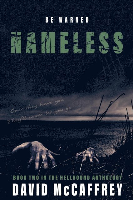 David McCaffrey - Nameless, E-bok