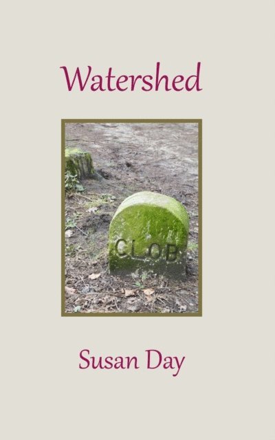 Susan Day - Watershed, E-bok