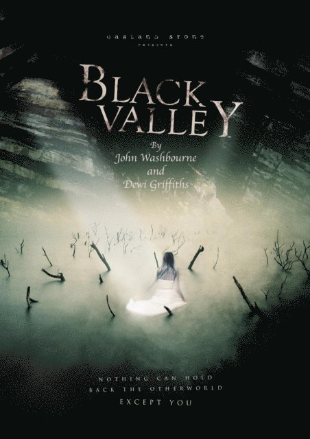 John Washbourne, Dewi Griffiths - Black Valley, E-bok