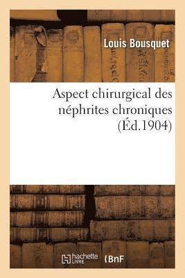 Louis Bousquet - Aspect Chirurgical Des Néphrites Chroniques, Häftad