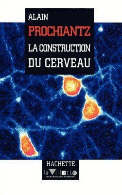 Alain Prochiantz - La constuction du cerveau, Häftad