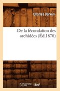 de la F�condation Des Orchid�es (�d.1870)