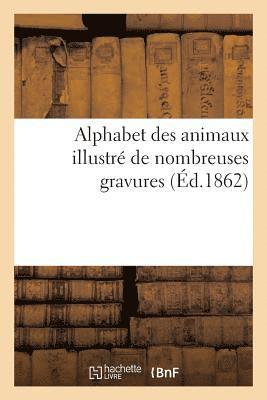 Alphabet Des Animaux Illustré de Nombreuses Gravures