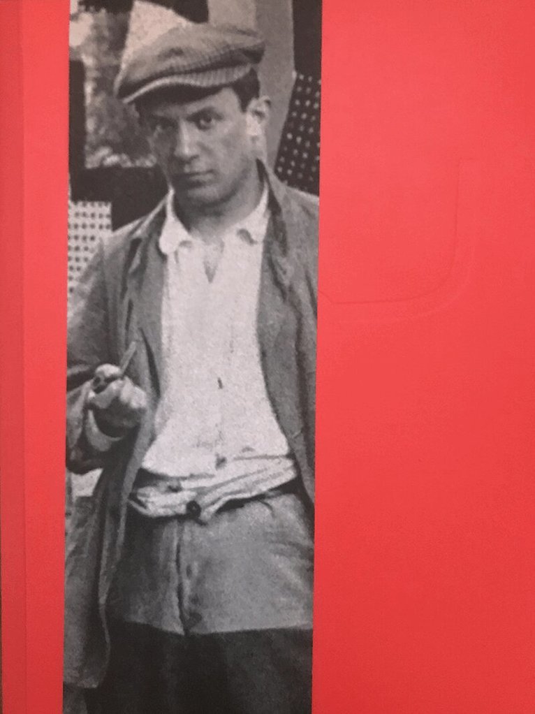 Anne Baldassari - Musée Picasso Paris, Häftad