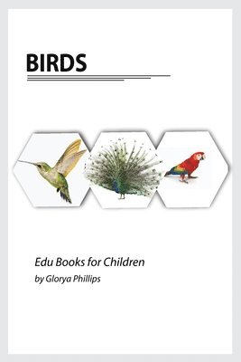 Glorya Phillips - Birds, Häftad. Tillgänglighet: Lägg i varukorg