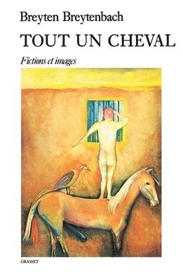 Breyten Breytenbach - Tout Un Cheval, Häftad