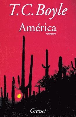 Boyle-T C., T. Coraghessan Boyle - America, Häftad
