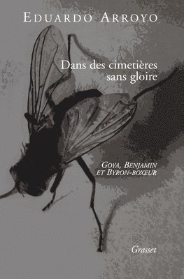 Eduardo Arroyo - Dans des cimetières sans gloire, Häftad
