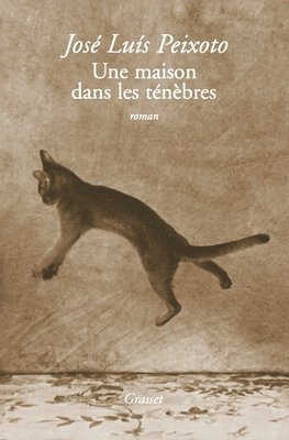 José-Luis Peixoto - Une maison dans les ténèbres, Häftad