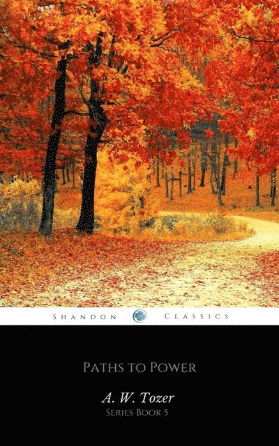 A.W. Tozer - Paths to Power: Living in the spirit's fullness (AW Tozer Series Book 5), E-bok