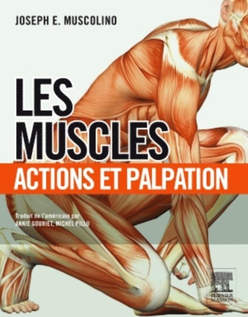 Michel Pillu, Joseph E. Muscolino, Annie Gouriet - Les muscles : actions et palpation, E-bok