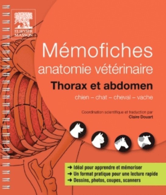 John Scott & Co, Saunders, Claire Douart - Memofiches anatomie veterinaire - Thorax et abdomen, E-bok
