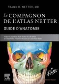 Le compagnon de l'atlas Netter - Guide d'anatomie