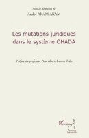 André Akam Akam - Les mutations juridiques dans le système OHADA, Häftad