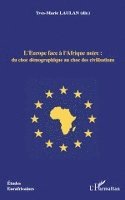 Laulan Yves Marie - L'Europe face à l'Afrique noire, Häftad. Tillgänglighet: Lägg i varukorg