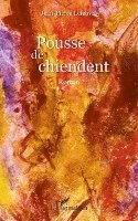 Pousse de chiendent