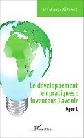 développement en pratiques