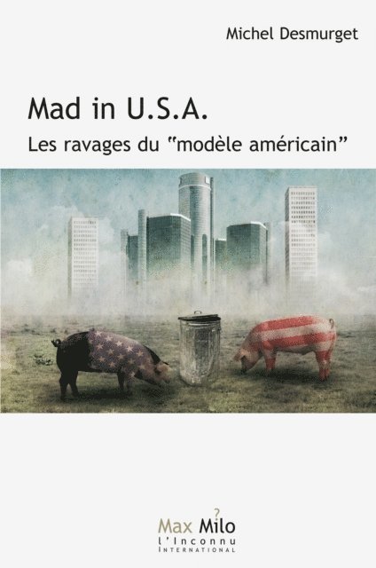 Michel Desmurget - Mad in USA. Les ravages du modèle américain, E-bok