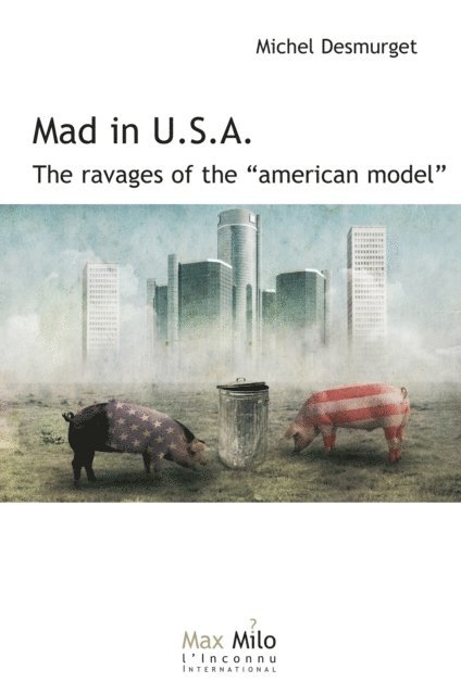 Michel Desmurget - Mad in USA, E-bok