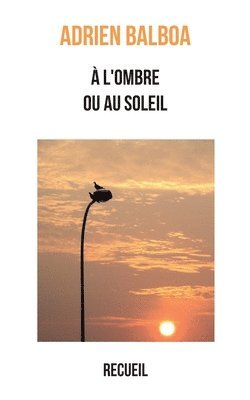 Adrien Balboa - À l'ombre ou au soleil, Häftad