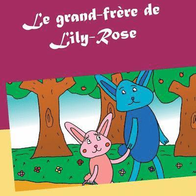 Valérie Gasnier - grand-frère de Lily-Rose, Häftad. Tillgänglighet: Lägg i varukorg