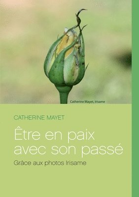 Catherine Mayet - Être en paix avec son passé, Häftad. Tillgänglighet: Lägg i varukorg