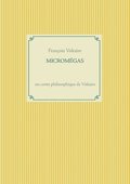 Micromgas