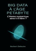Big data  l'ge Petabyte