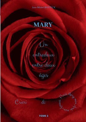 Jean-Michel Boiteux - Mary, Tome 3, Häftad