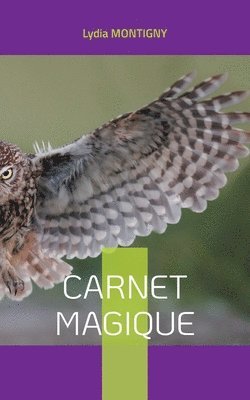 Lydia Montigny - Carnet magique, Häftad