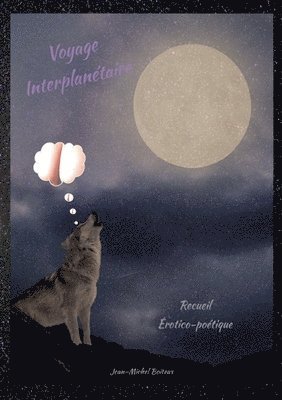 Jean-Michel Boiteux - Voyage Interplanétaire, Häftad