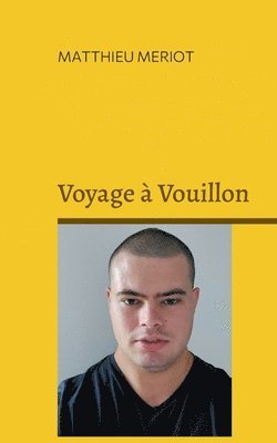 Matthieu Meriot - Voyage à Vouillon, Häftad