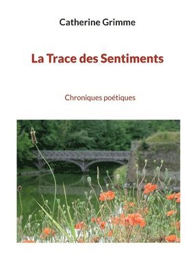 Catherine Grimme - Trace des Sentiments, Häftad