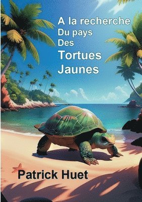 Patrick Huet - A la recherche du pays des Tortues Jaunes, Häftad