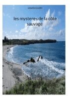 Sebastien Coudrin - les mysteres de la côte sauvage, Häftad. Tillgänglighet: Lägg i varukorg