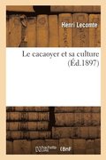 cacaoyer et sa culture