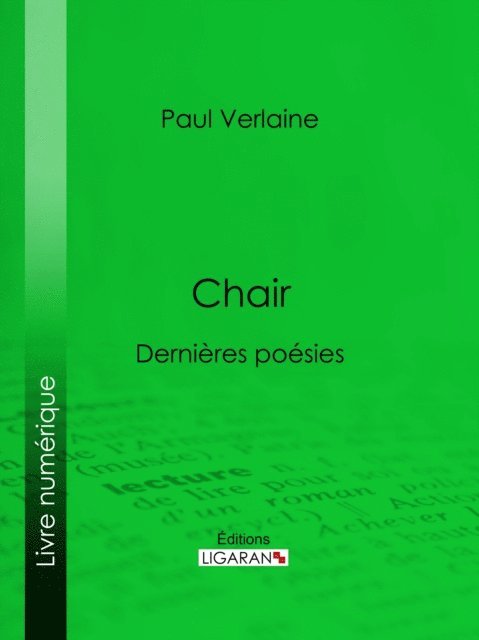 Felicien Rops, Paul Verlaine - Chair, E-bok
