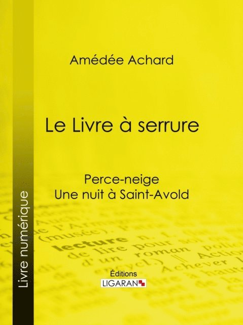 Ligaran, Amedee Achard - Le Livre à serrure, E-bok