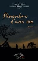 Pénombre d'une vie