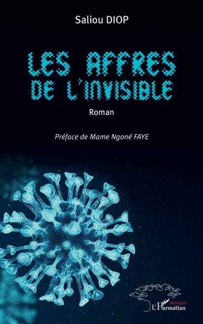 Diop - Les affres de l'invisible, E-bok
