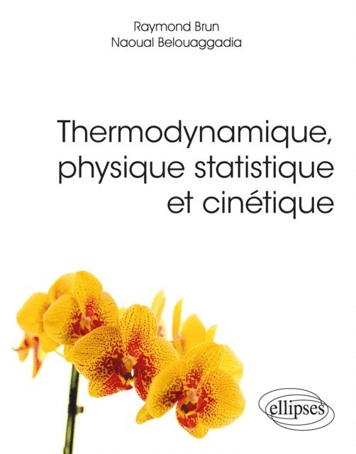 Naoual Belouaggadia, Raymond Brun - Thermodynamique, physique statistique et cinétique, E-bok