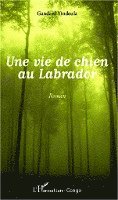 vie de chien au Labrador