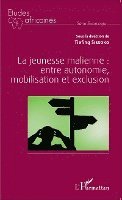 Tiefing Sissoko - jeunesse malienne, Häftad