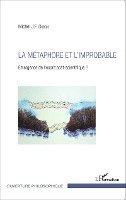 Michel DuBois - métaphore et l'improbable, Häftad. Tillgänglighet: Lägg i varukorg