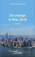 voyage à New York